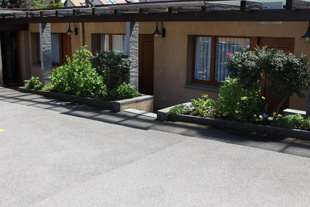 Hotel Glaernisch Hof Horgen Habitación foto